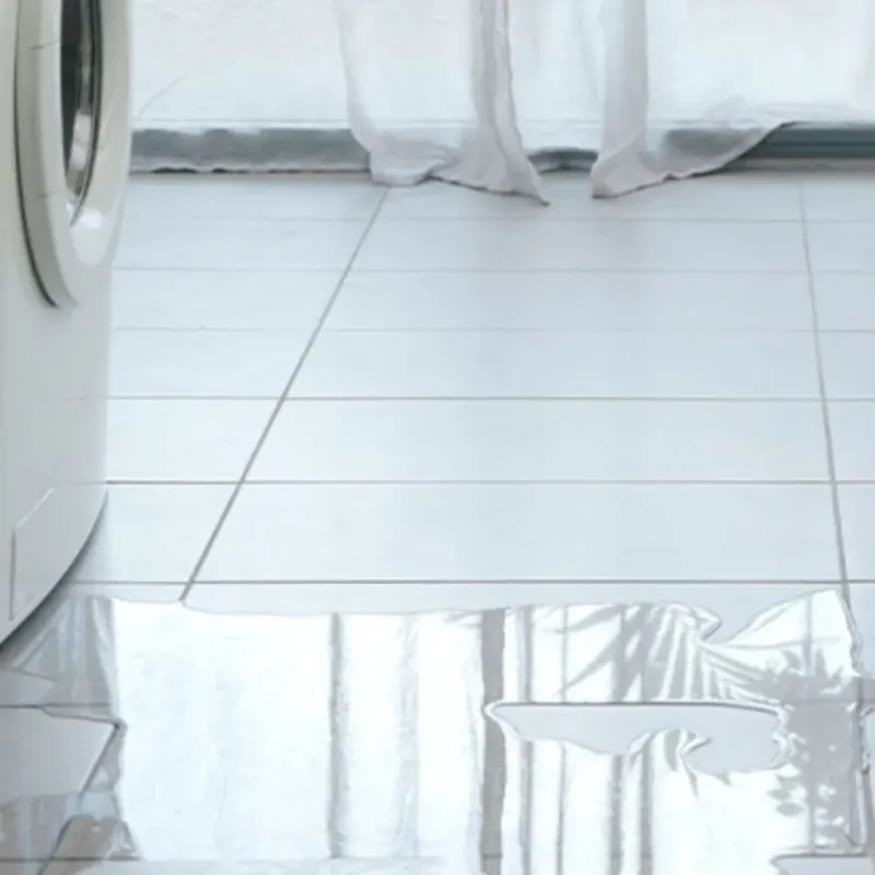 Appliance Leak Cleanup in Fairfield, TX