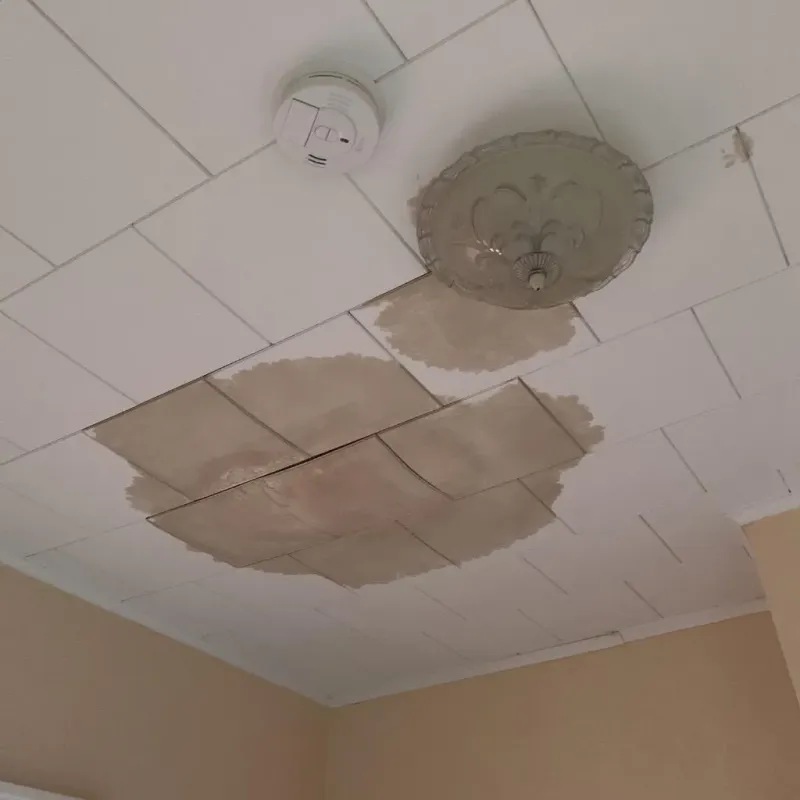 Ceiling Water Damage Repair in Fairfield, TX