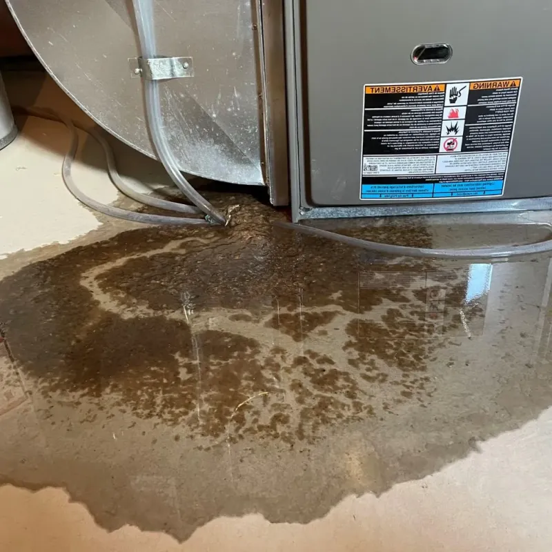Pipe Burst and Leak Restoration in Fairfield, TX