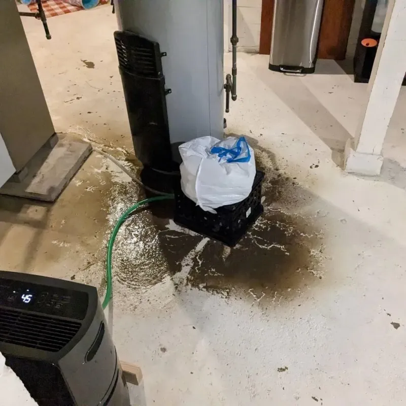 Sewage Backup Cleanup Service in Fairfield, TX